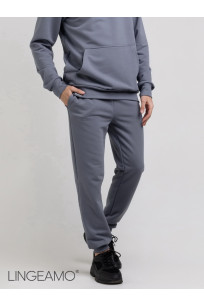 Мужские брюки из футера LINGEAMO серые